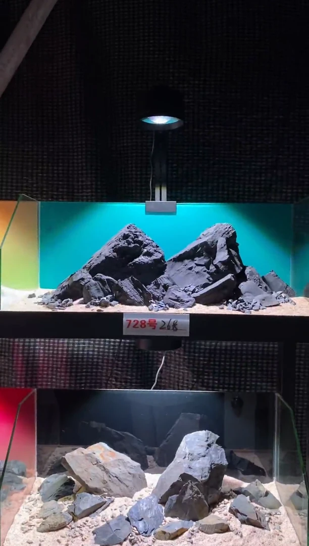 728号鱼缸造景（不含底砂）
