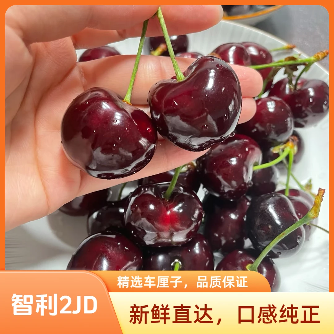 【智利车厘子2JD】5到10斤装原箱进口