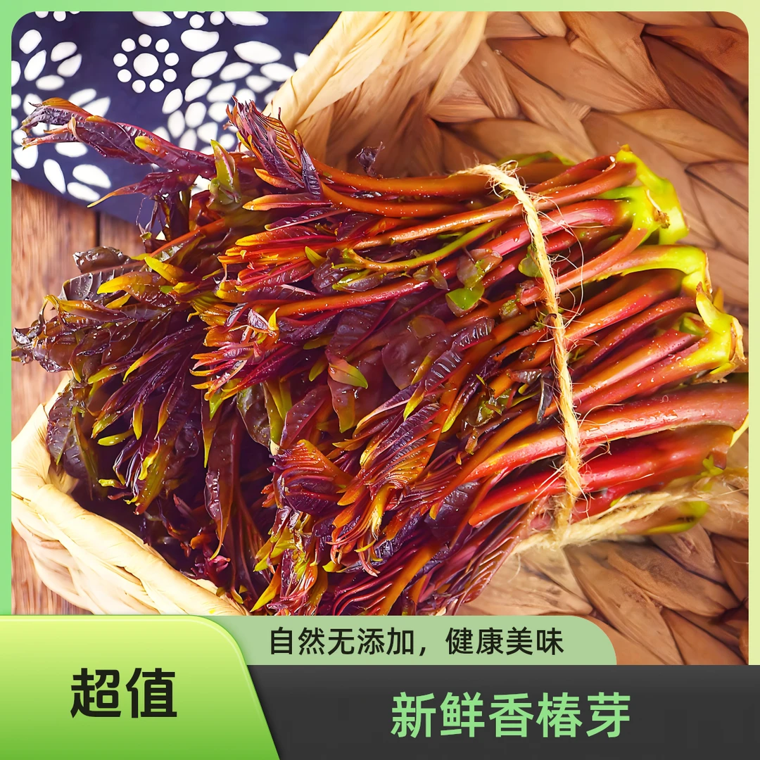 密云头茬香椿 现采现发 新鲜香椿芽