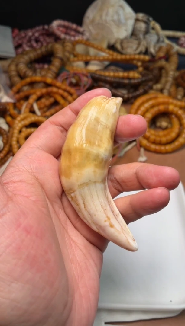 骆驼牙把件哎*杂件653-驼牙把件