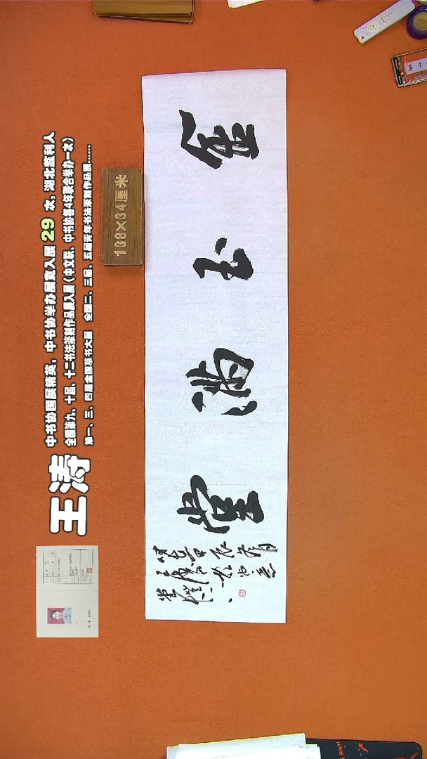 【闪购商品】书法381王涛书法作品