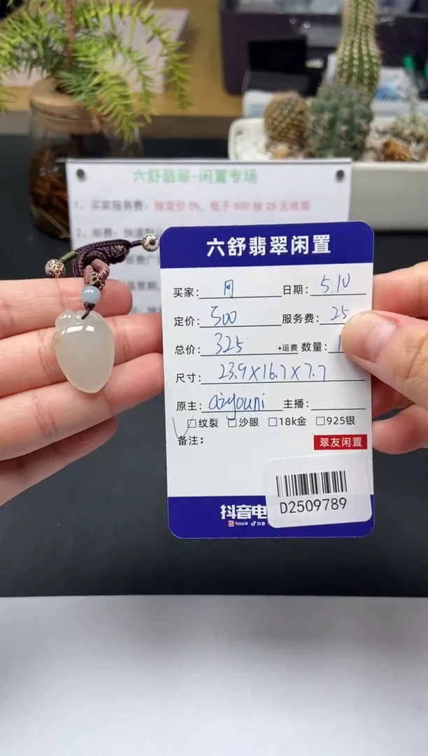 翡翠未镶嵌颈饰D2509789