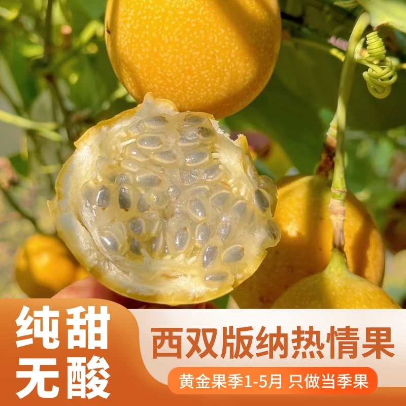 【精品热情果】云南西双版纳热情果纯甜无酸QQ弹弹饱满多汁果香四溢