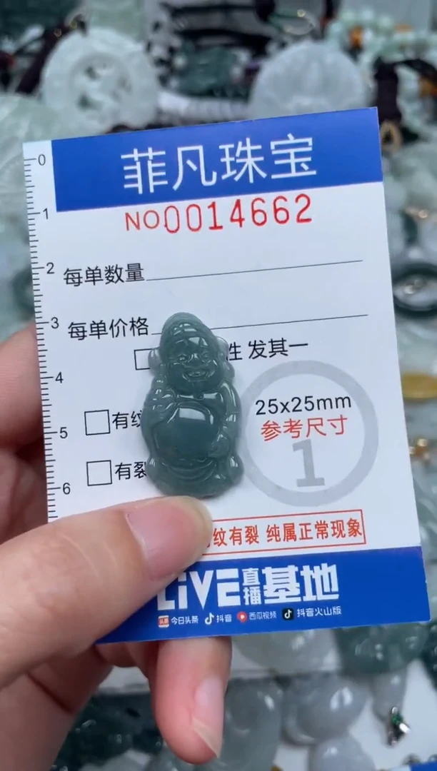 颈饰未镶嵌翡翠14662