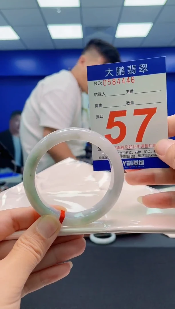 未镶嵌手镯翡翠AAAAAAAAA