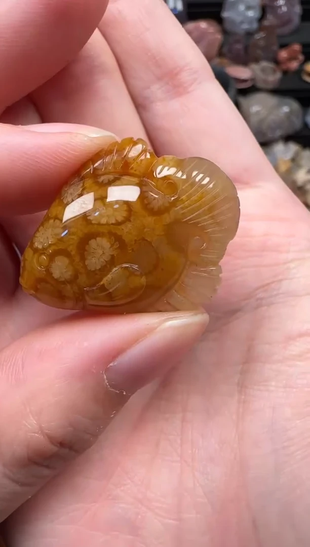 颈饰未镶嵌硅化珊瑚（珊瑚玉）145