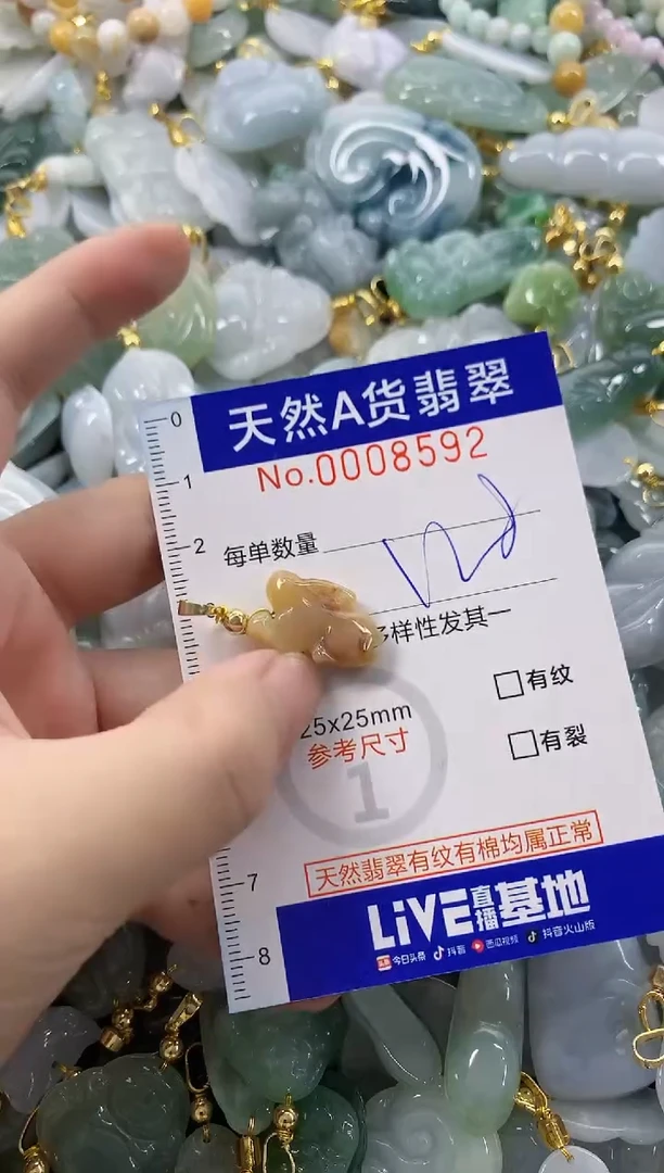 颈饰未镶嵌翡翠天然A货翡翠