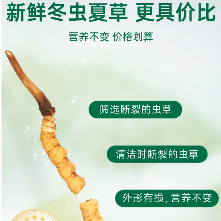 甄选 鲜断草 50克 2025头茬鲜草滋补养生好礼