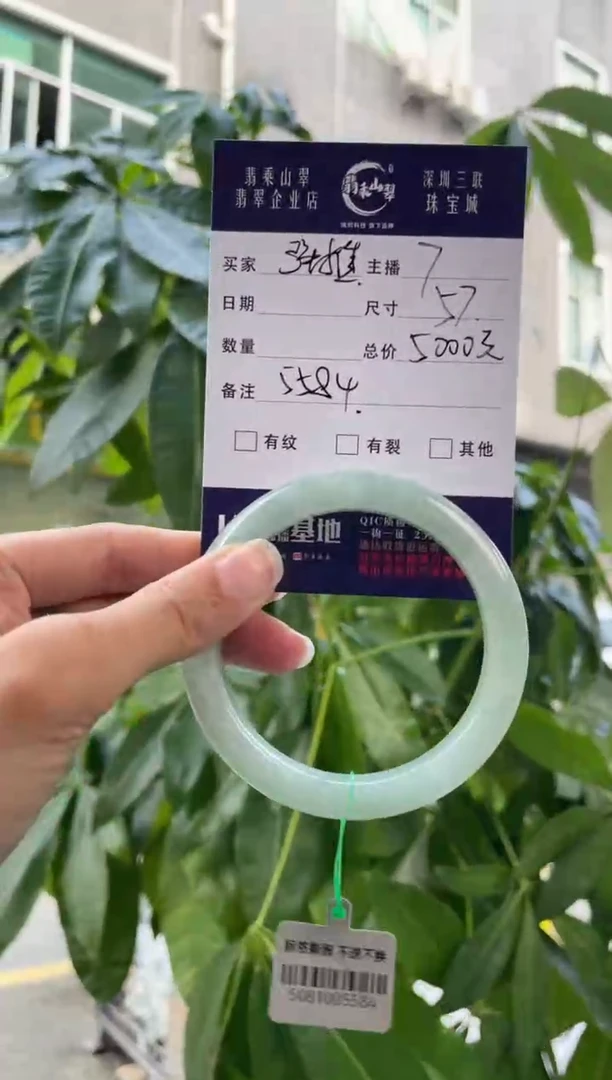 未镶嵌手镯翡翠Q 57正圈 5584