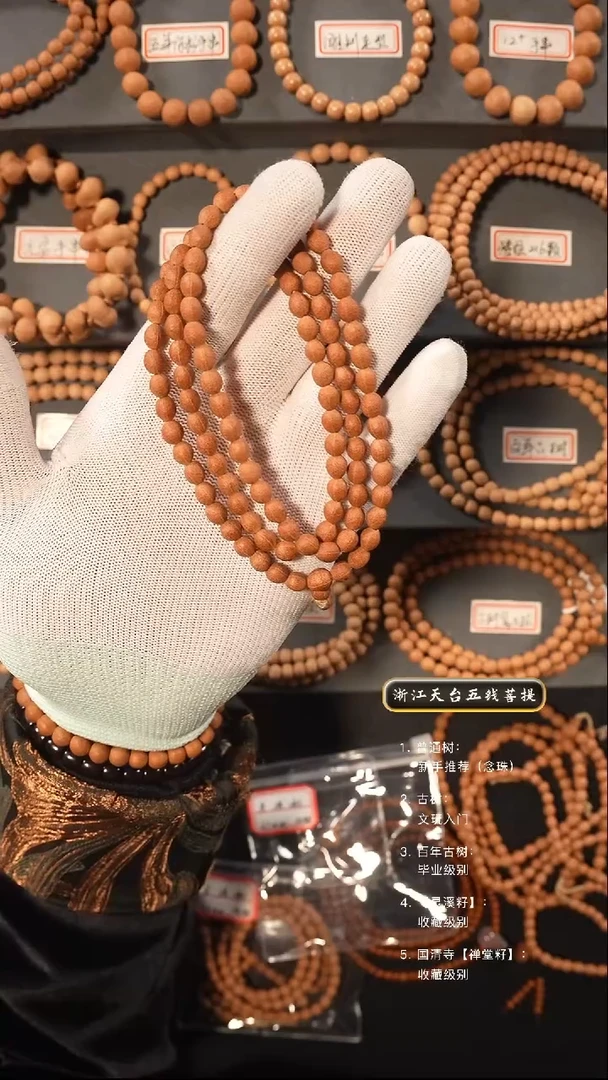 【闪购商品】五线菩提吊坠灵犀籽陈籽原皮脖挂6.1左右尺寸