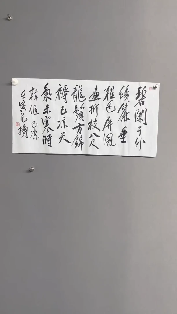 华夏甄选作品书法