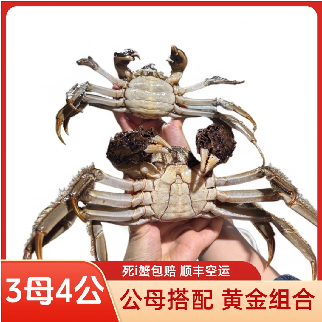【母蟹+公蟹 活蟹】3.5斤 5只母3.0两 5只公4.0两大闸蟹按斤称重