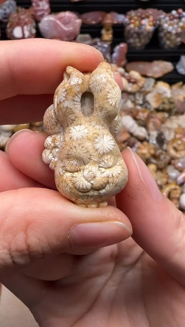 【闪购商品】硅化珊瑚（珊瑚玉）颈饰未镶嵌710