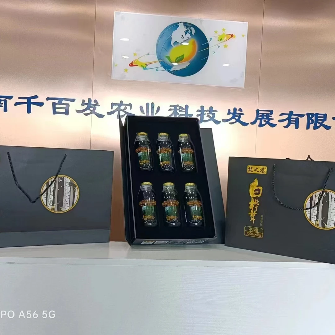 白桦茸汁植物饮品养生天然无添加礼盒装