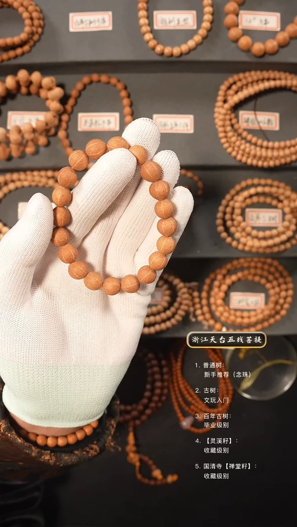【闪购商品】五线菩提吊坠5年陈籽6线手串