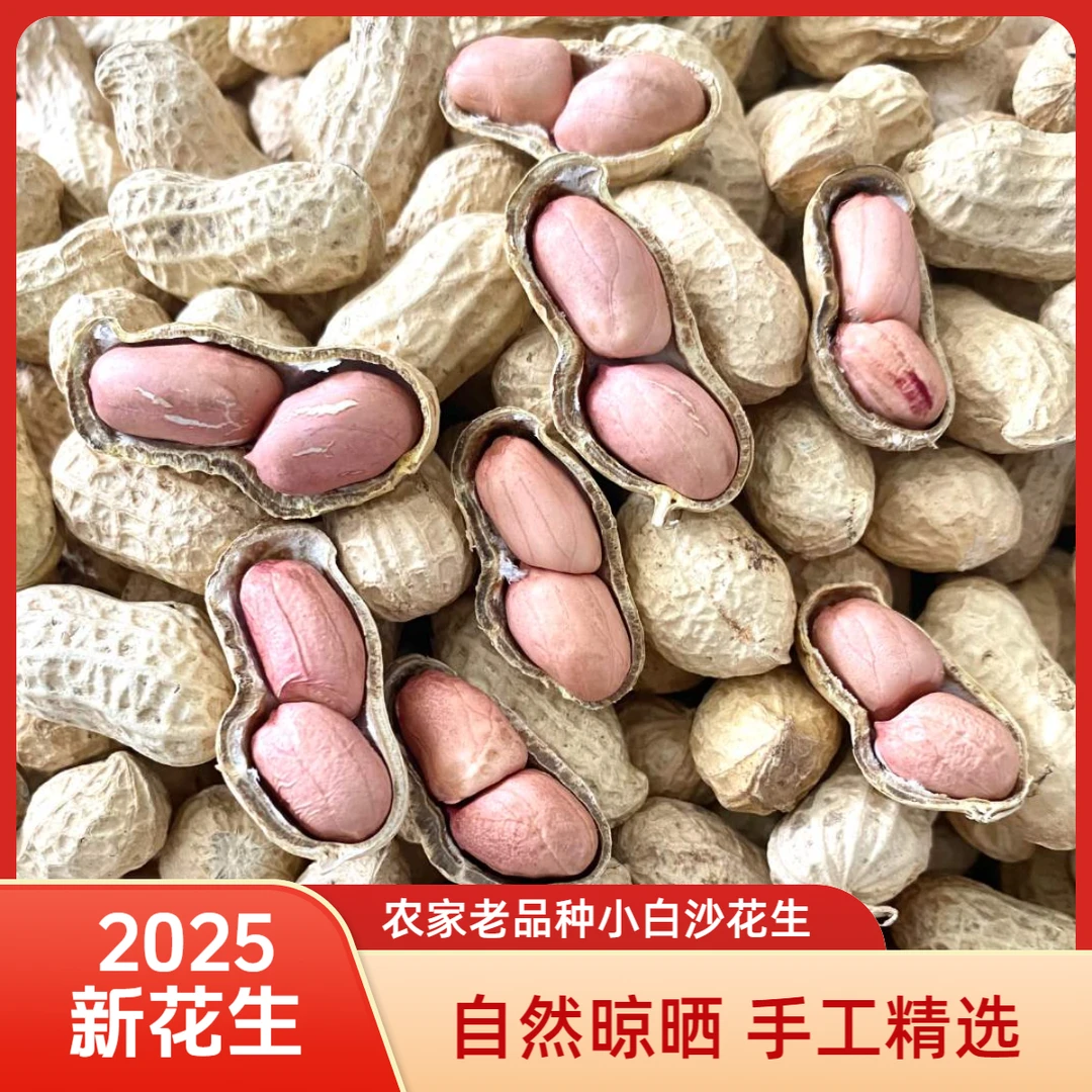 2025年老品种精选果正阳小白沙花生带壳晒干生花生种子级喜事花生