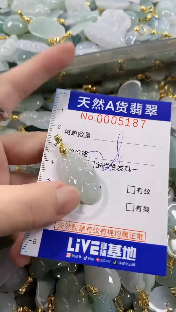 颈饰未镶嵌翡翠天然A货翡翠