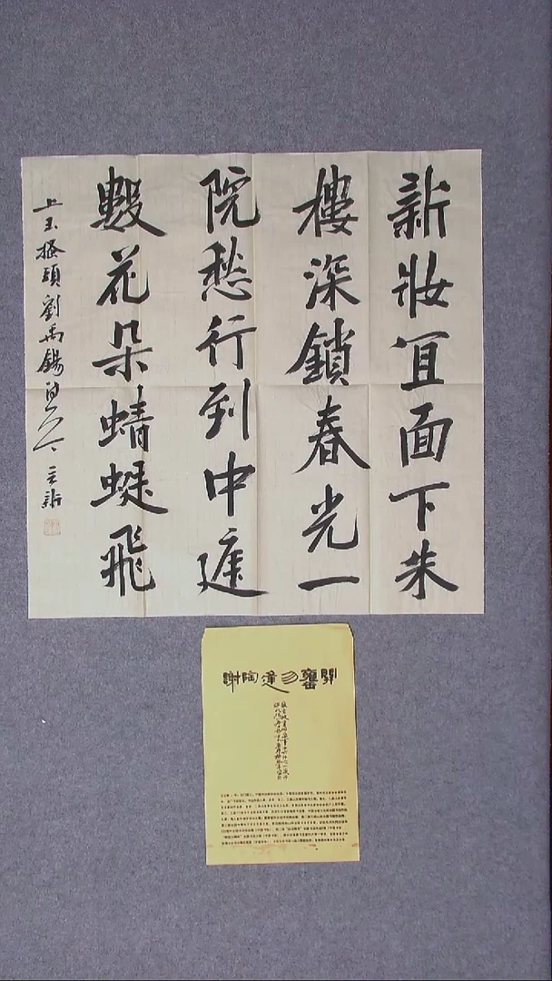 书法王立新  山东69*69（6）