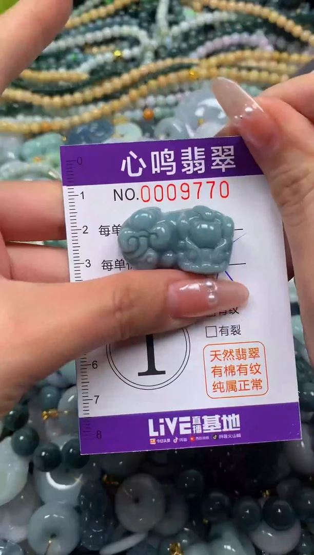 颈饰未镶嵌翡翠闪购009770