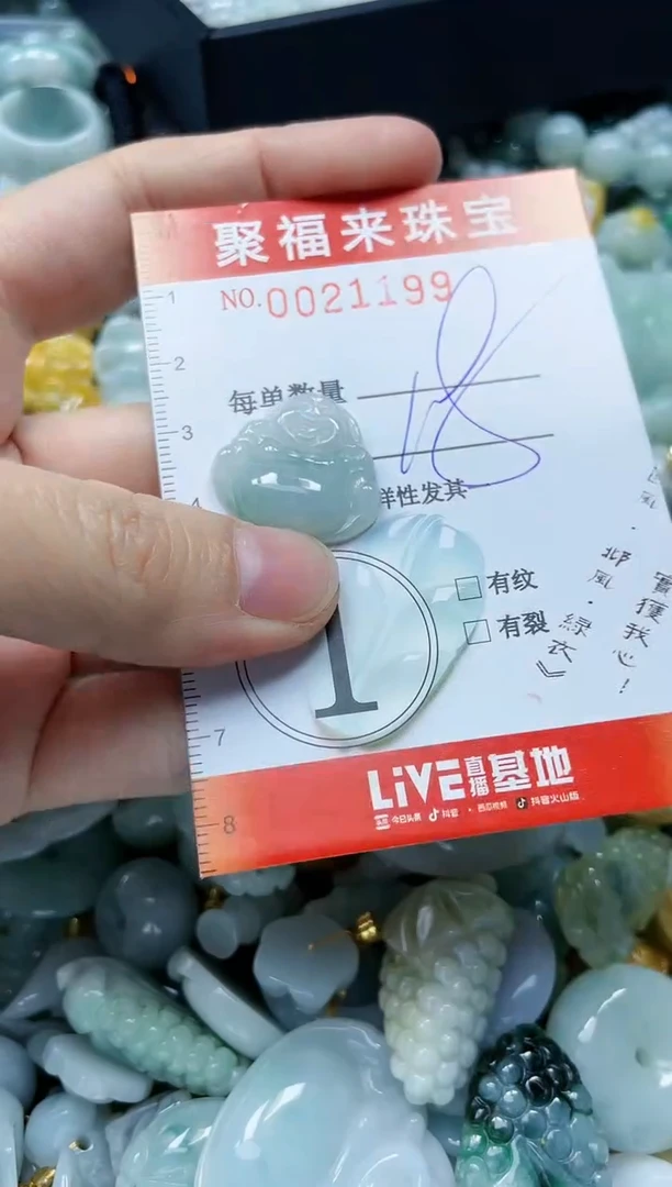 【闪购商品】翡翠颈饰未镶嵌闪购0021199