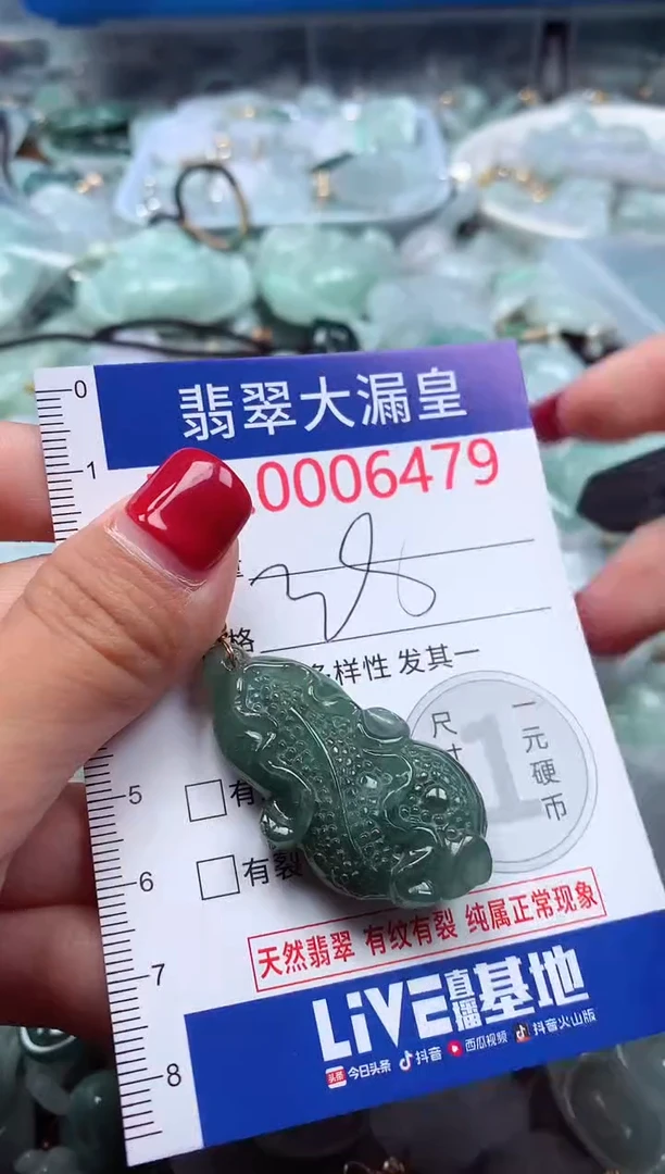 颈饰未镶嵌翡翠6479