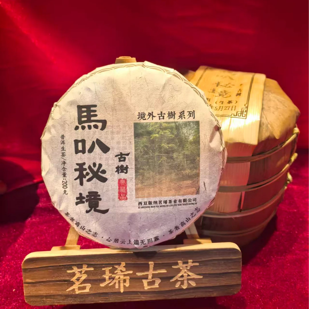 2025年 头春《馬叭秘境》茶者高山之志//普洱生茶 （饼茶）