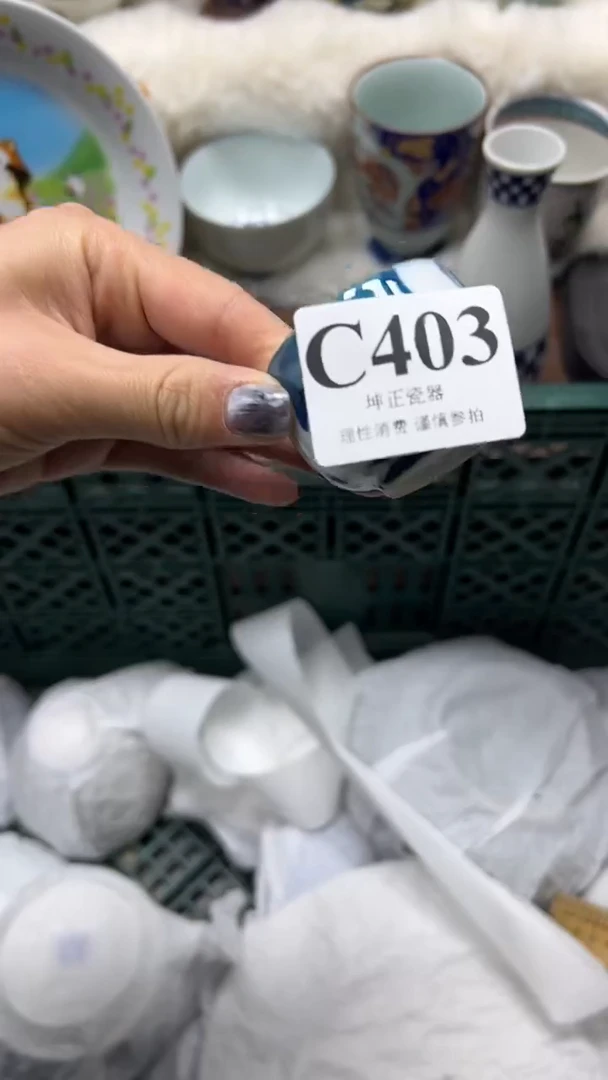 【闪购商品】瓷片          C403