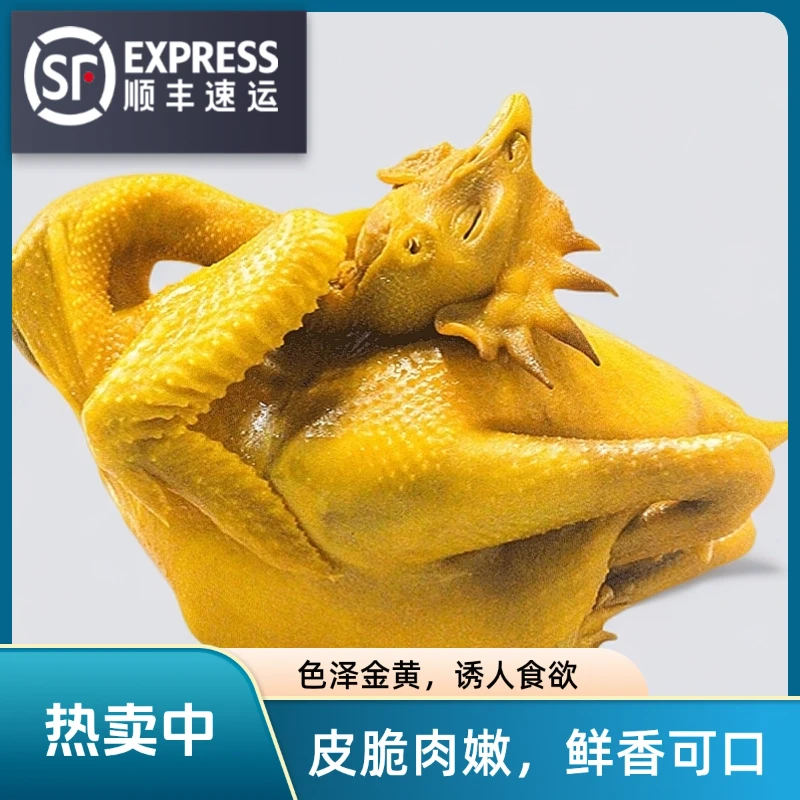 【顺丰包邮】广东地道盐焗脆皮老鸡整鸡净重700-900克/只