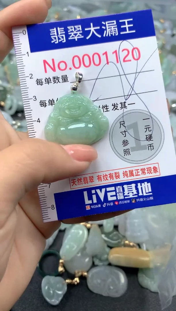 颈饰未镶嵌翡翠1120