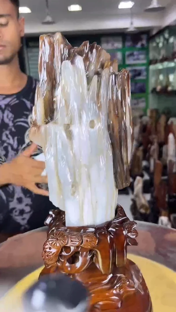 未镶嵌珠宝奇石硅化玉缅甸天然树化玉摆件