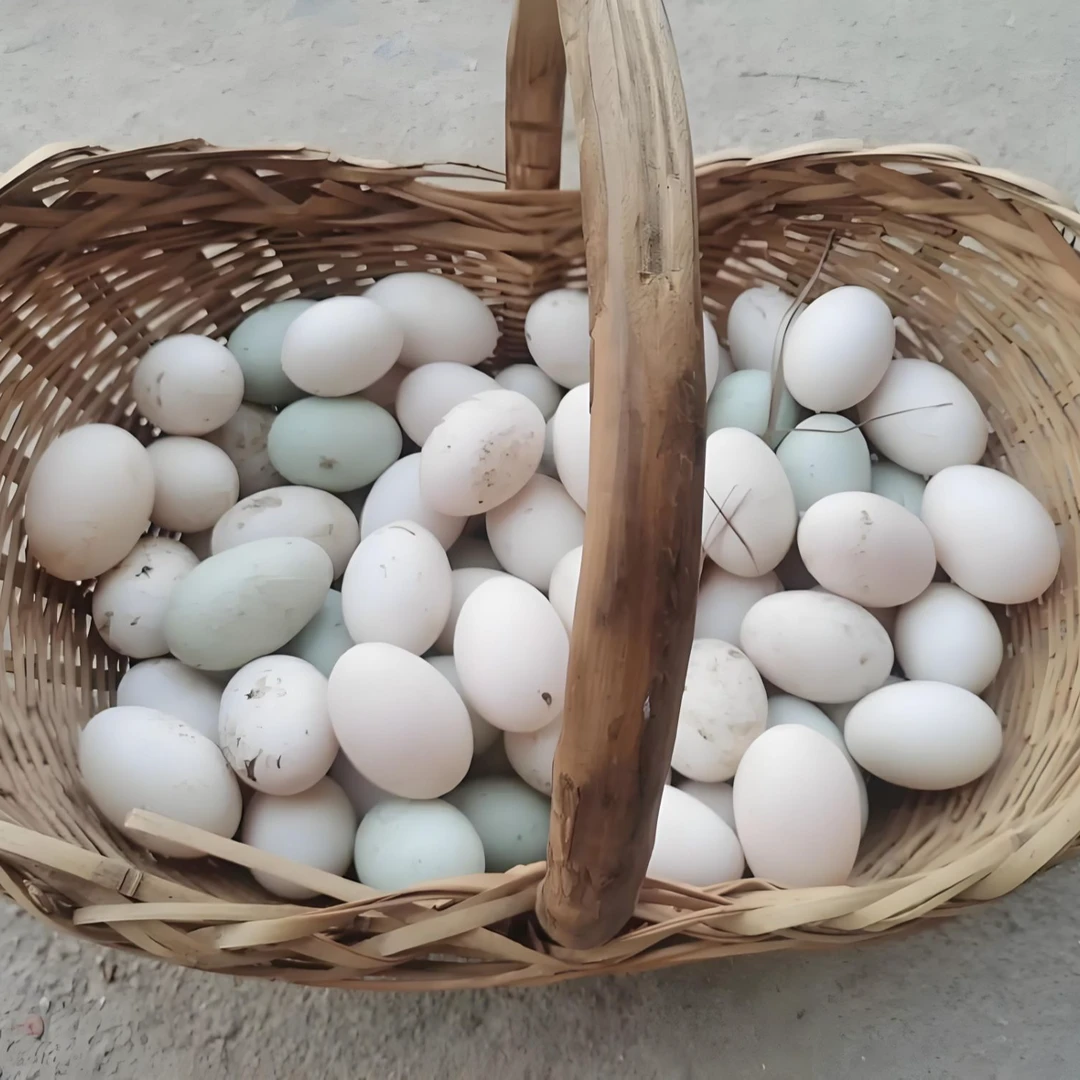 【土鸭蛋】农家散养土鸭蛋