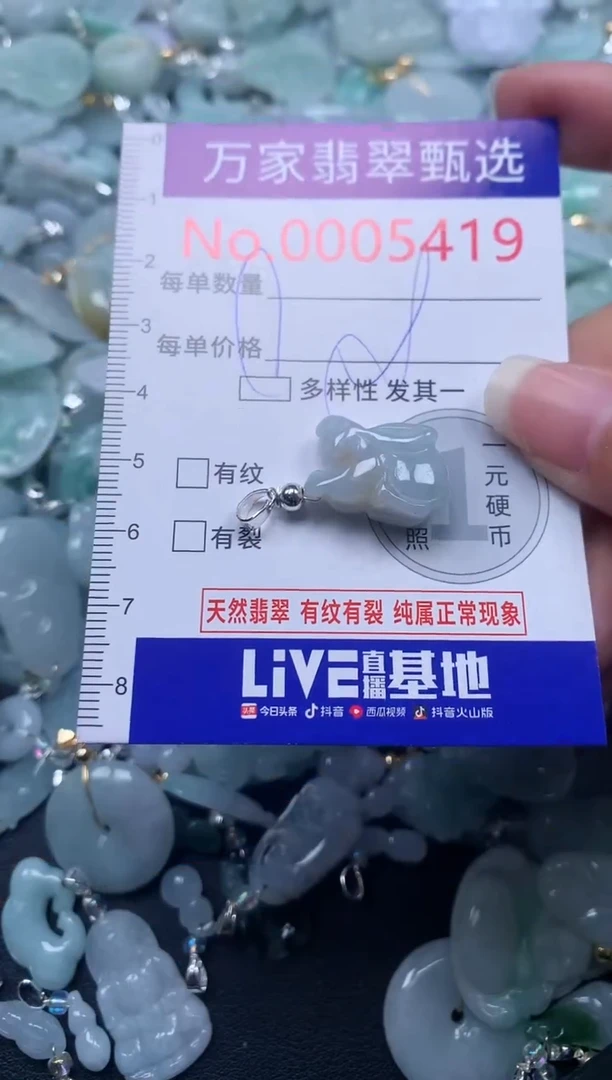 颈饰未镶嵌翡翠5419