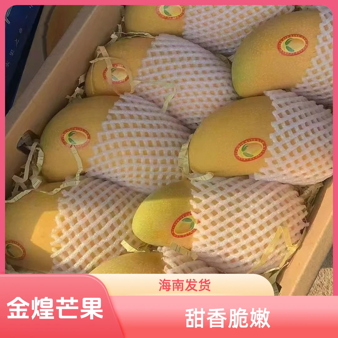 新鲜海南芒果金煌芒大果香甜多汁热带水果