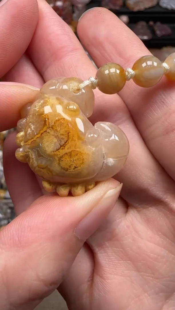 硅化珊瑚（珊瑚玉）未镶嵌颈饰599