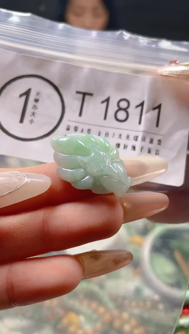 【闪购商品】翡翠颈饰未镶嵌/T/翡翠A货一图一物