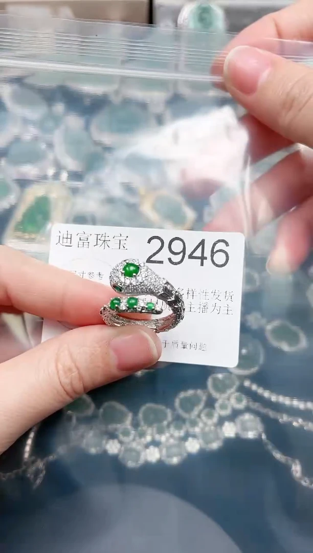 【闪购商品】翡翠颈饰未镶嵌赠皮绳2946