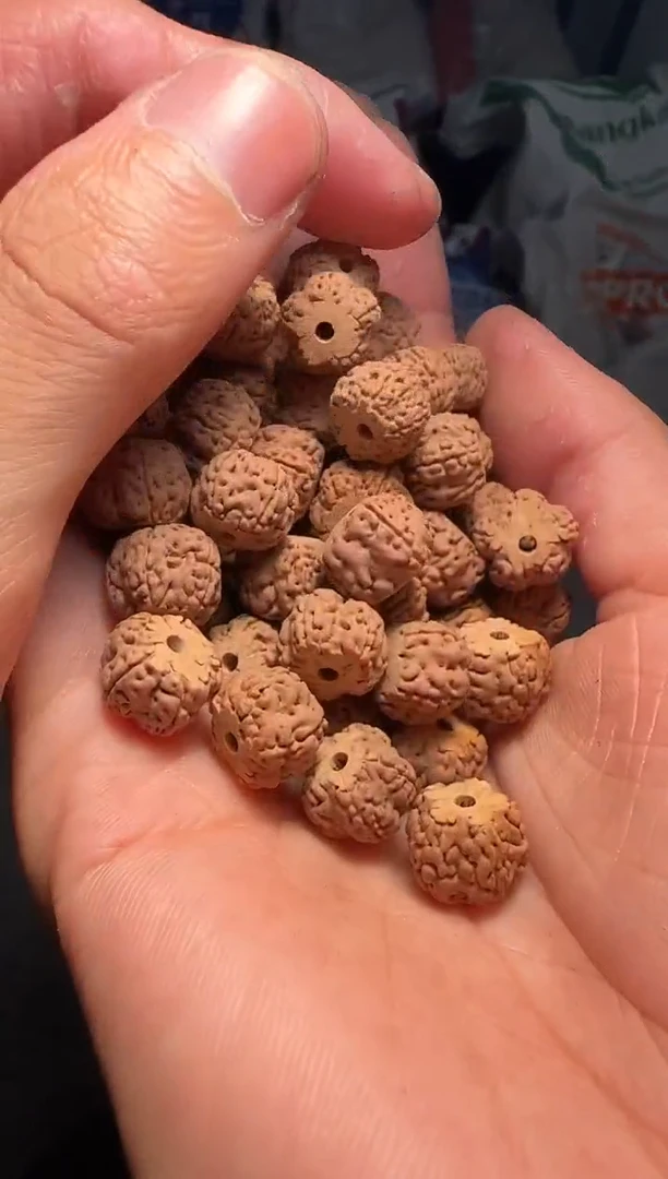 手串金刚菩提非全品龙切龙骨梅花散籽11-12mm一份一百颗