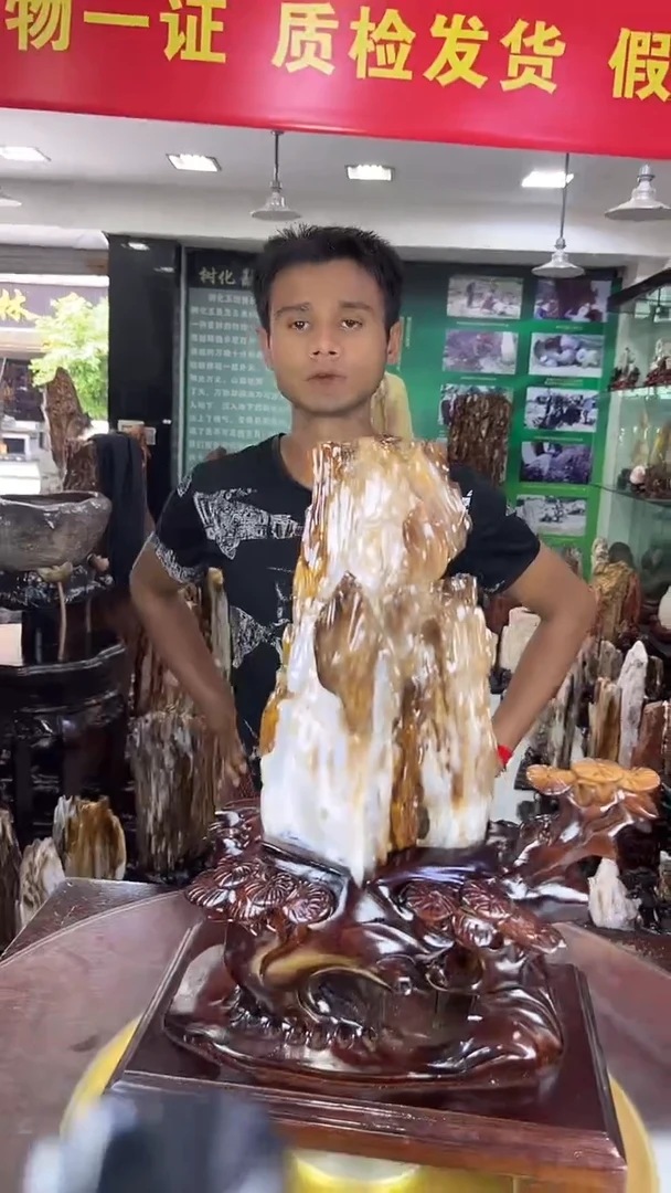 未镶嵌珠宝奇石硅化玉缅甸天然树化玉摆件
