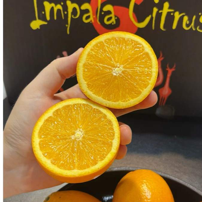 森叔源选 当季限定南半球晚熟甜橙3/5斤装【顺丰包邮】