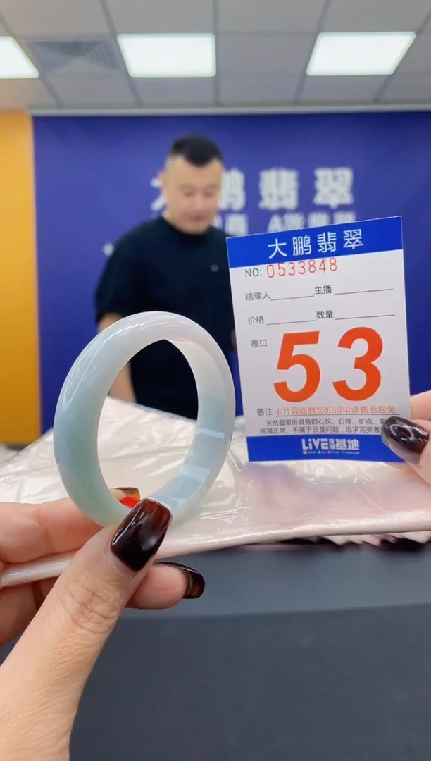 未镶嵌手镯翡翠AAAAAAAAAA