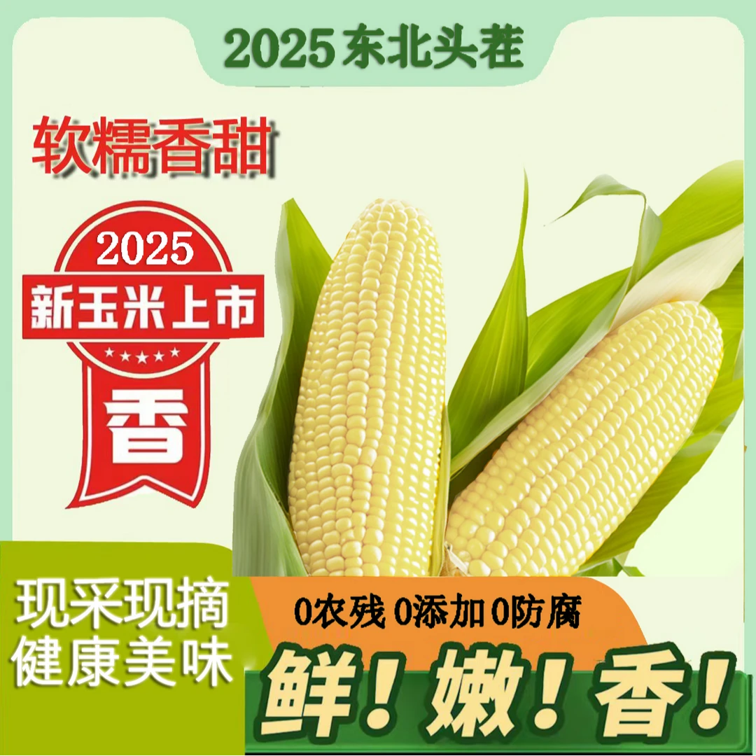 东北头茬白糯玉米真空包装280克*10棒试吃5棒