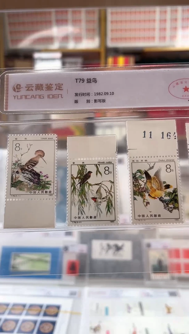 【闪购商品】T79 益鸟全套带边限时