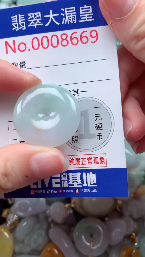 翡翠未镶嵌吊坠(不含链)8669