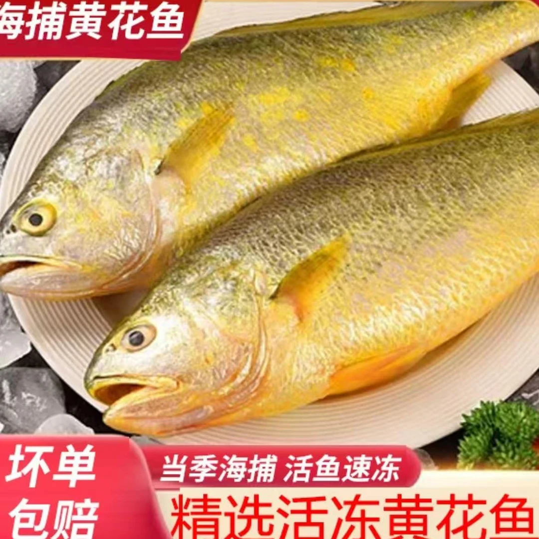 【顺丰快递】整条黄海湾新鲜深海野生黄花鱼海鲜深海鱼6条