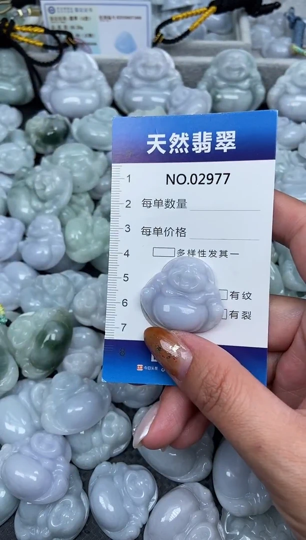 颈饰未镶嵌翡翠纯天然A货缅翡2977