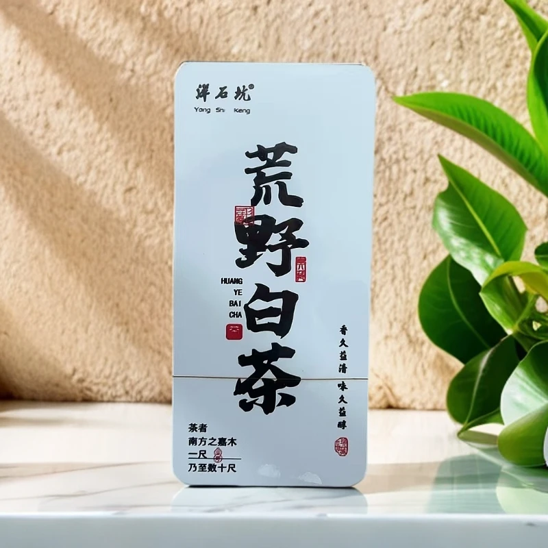 荒野白茶 铁盒12泡装【洋石坑】