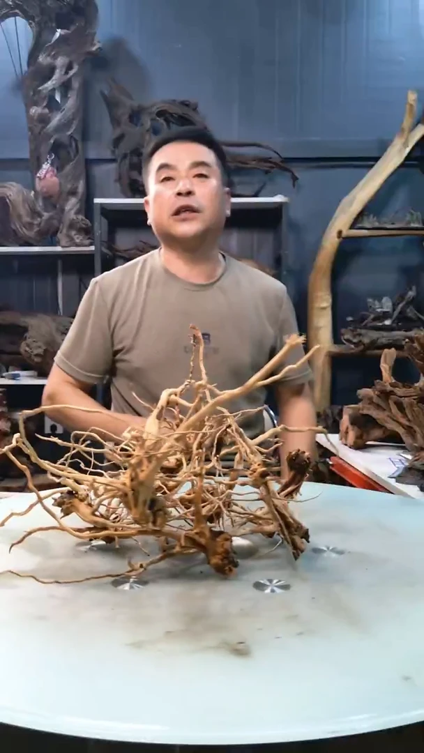 899清香阁清香阁清香阁