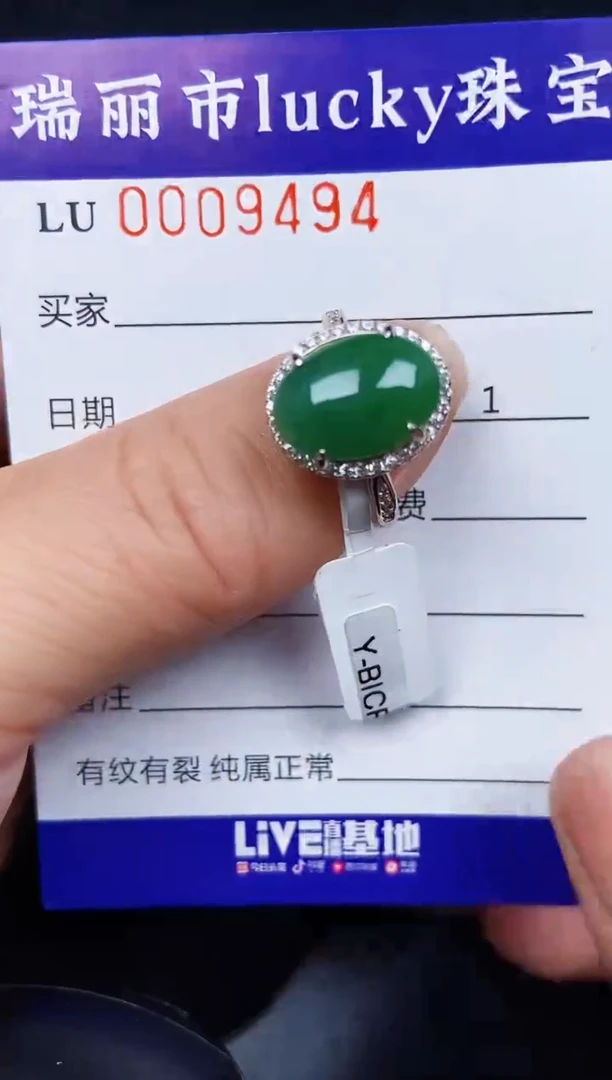 翡翠银S925镶嵌颈饰9494