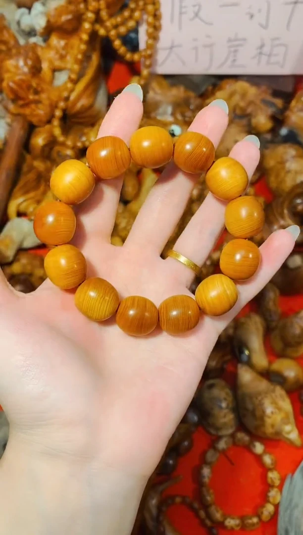 柏木大枣单条崖柏崖柏