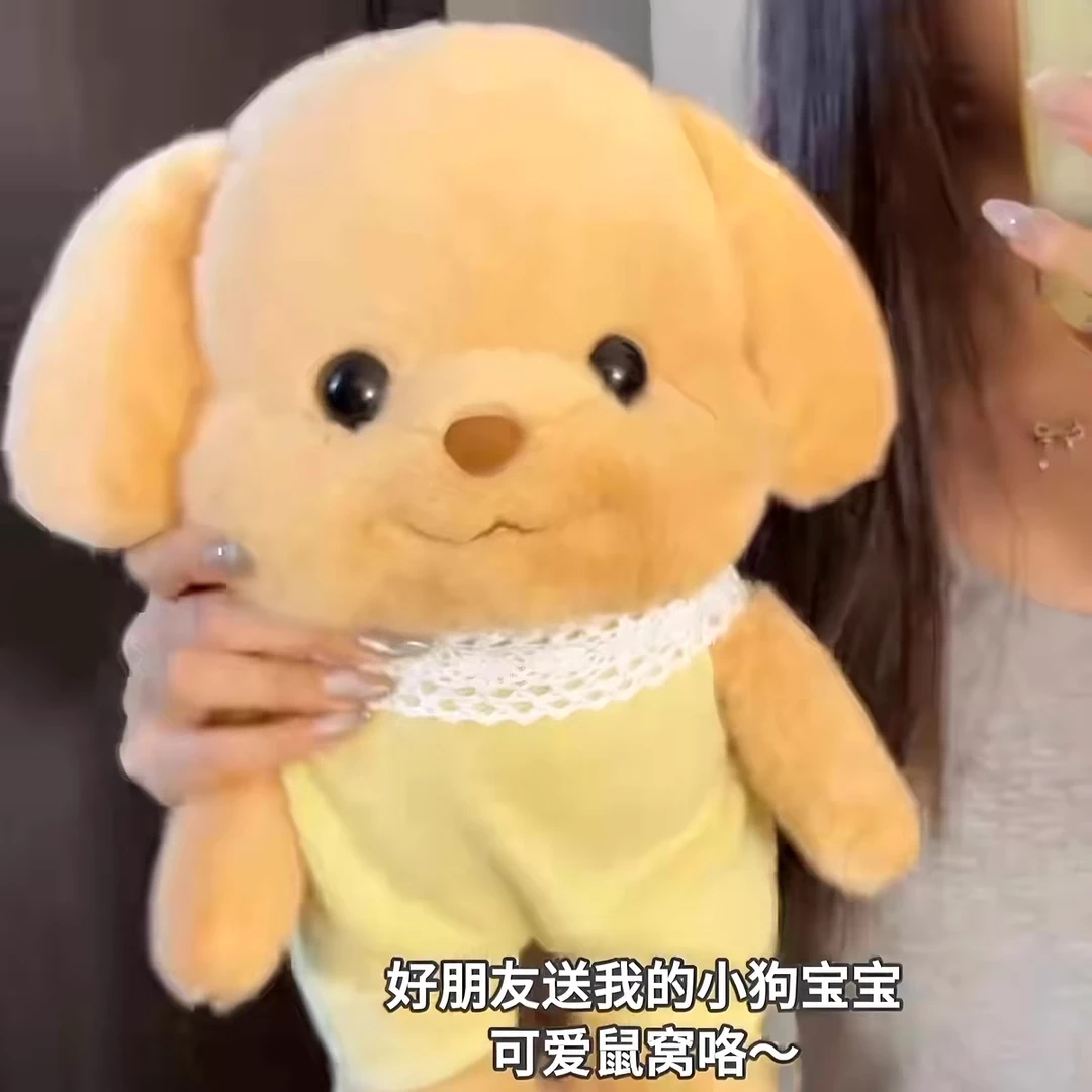 网红森贝儿小狗贵宾犬毛绒玩具可爱公仔家族玩偶生日礼物送女生